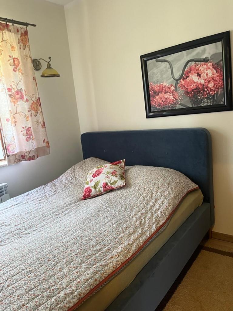 Appartement Siedlisko Kepina Zdroj à Ostrow  Extérieur photo