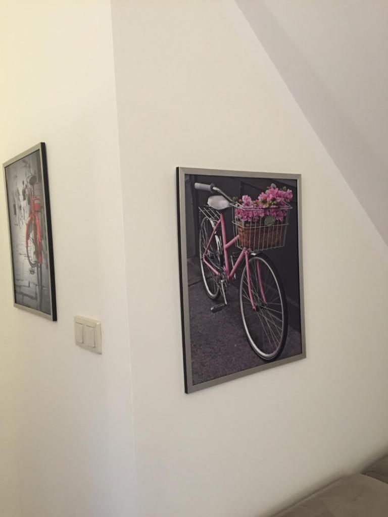 Appartement Siedlisko Kepina Zdroj à Ostrow  Extérieur photo
