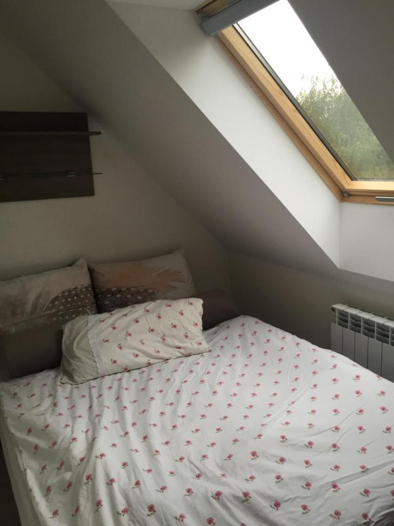 Appartement Siedlisko Kepina Zdroj à Ostrow  Extérieur photo